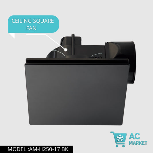 CELING FANS