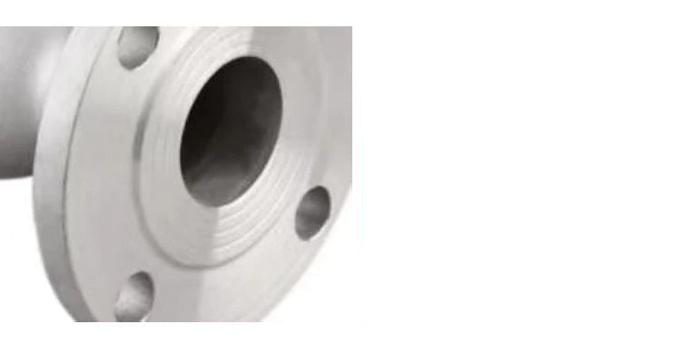 304 stainless steel flange check valve H44W-16P swing check valve check valve DN25 50 80 100