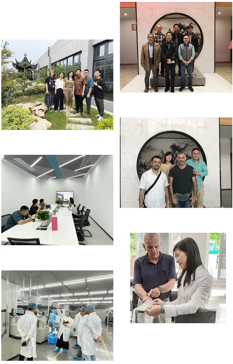 Multi Functional Quality Assurance Plastic Frame Mushroom V Bank Compact H14 Hepa Filter