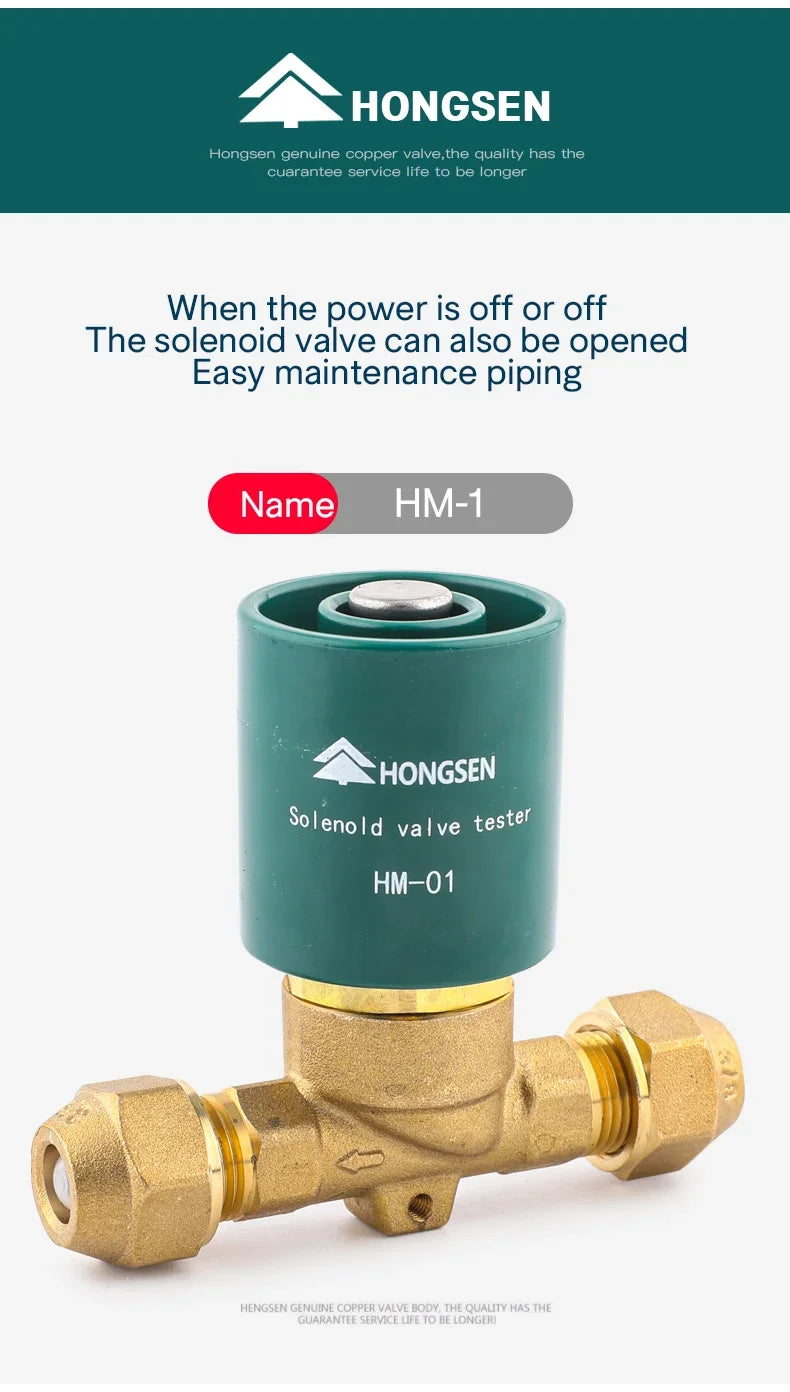 HONGSEN Cold Storage Solenoid Valve Opening Valve Solenoid Coil Magnetic Controller Emergency Strong Magnetic Universal Switch